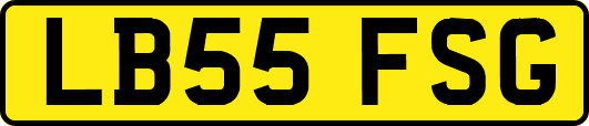 LB55FSG