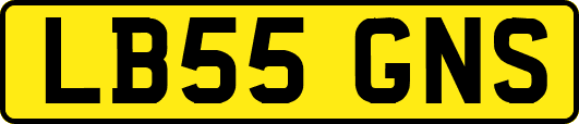 LB55GNS