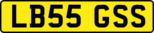 LB55GSS