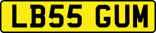 LB55GUM