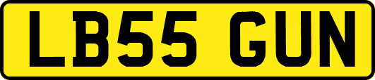 LB55GUN