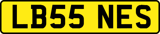 LB55NES