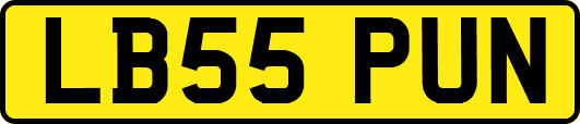 LB55PUN