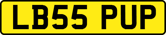 LB55PUP