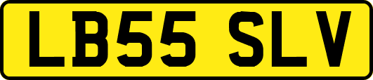 LB55SLV