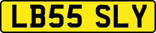 LB55SLY