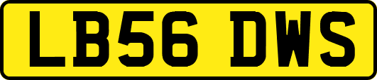 LB56DWS
