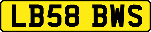 LB58BWS