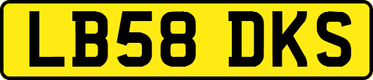 LB58DKS