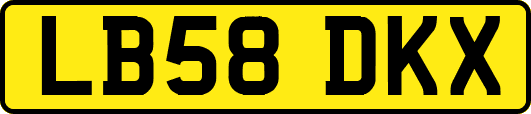 LB58DKX