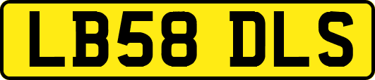LB58DLS