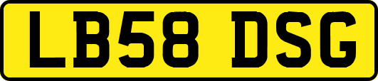 LB58DSG