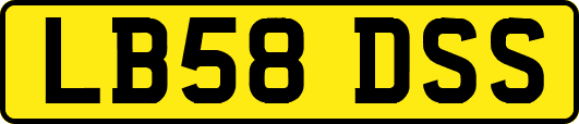 LB58DSS