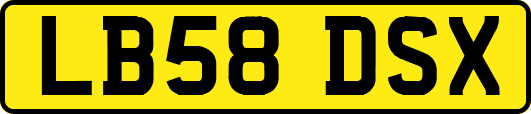 LB58DSX
