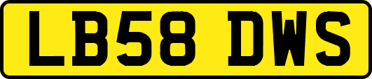 LB58DWS