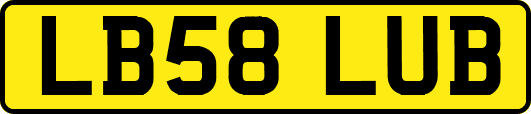LB58LUB