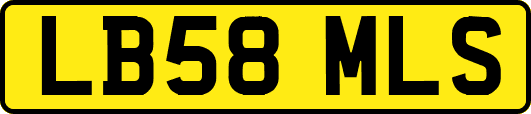 LB58MLS
