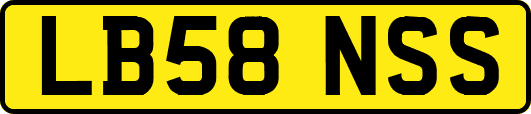 LB58NSS