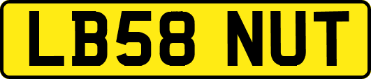LB58NUT