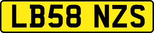 LB58NZS