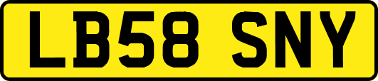 LB58SNY