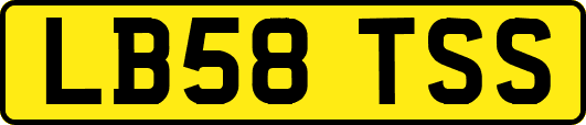 LB58TSS