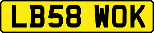 LB58WOK
