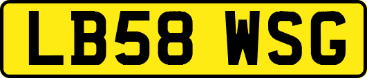 LB58WSG
