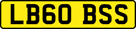 LB60BSS