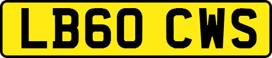 LB60CWS