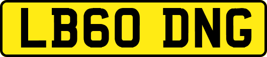 LB60DNG
