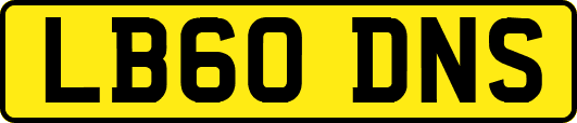LB60DNS