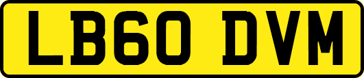 LB60DVM