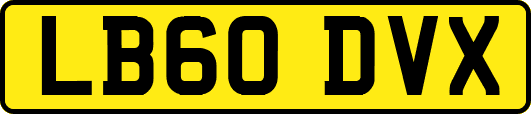 LB60DVX
