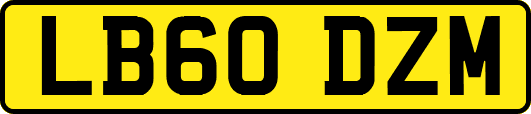 LB60DZM