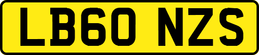 LB60NZS
