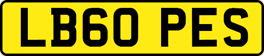 LB60PES