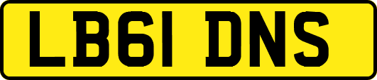 LB61DNS