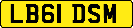 LB61DSM