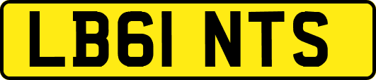 LB61NTS