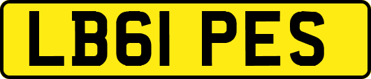 LB61PES