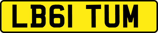 LB61TUM