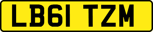 LB61TZM