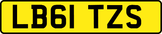 LB61TZS