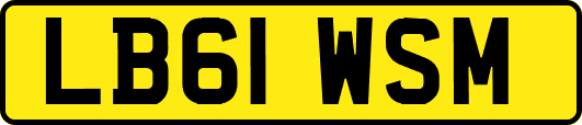 LB61WSM