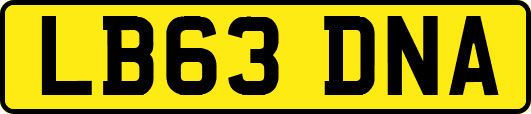 LB63DNA