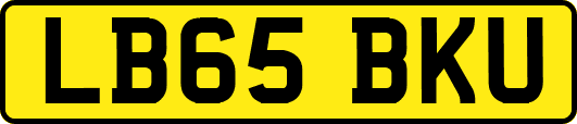 LB65BKU