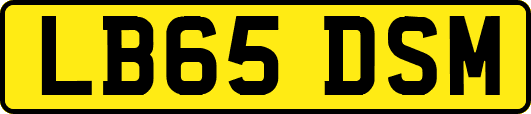 LB65DSM