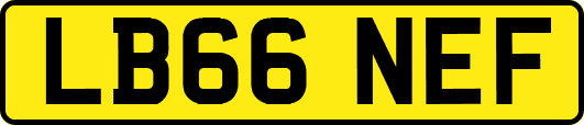 LB66NEF