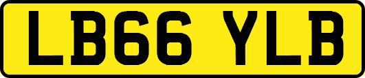 LB66YLB